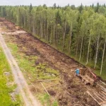 Лежневая дорога: особенности конструкции и применение